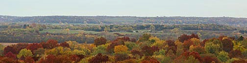 fallfoliage