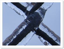 pictures_from_2007_125