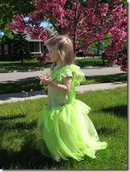 Princess Fairy