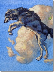 Apex Detail