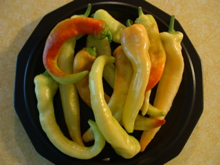 DSCN7921.jpg